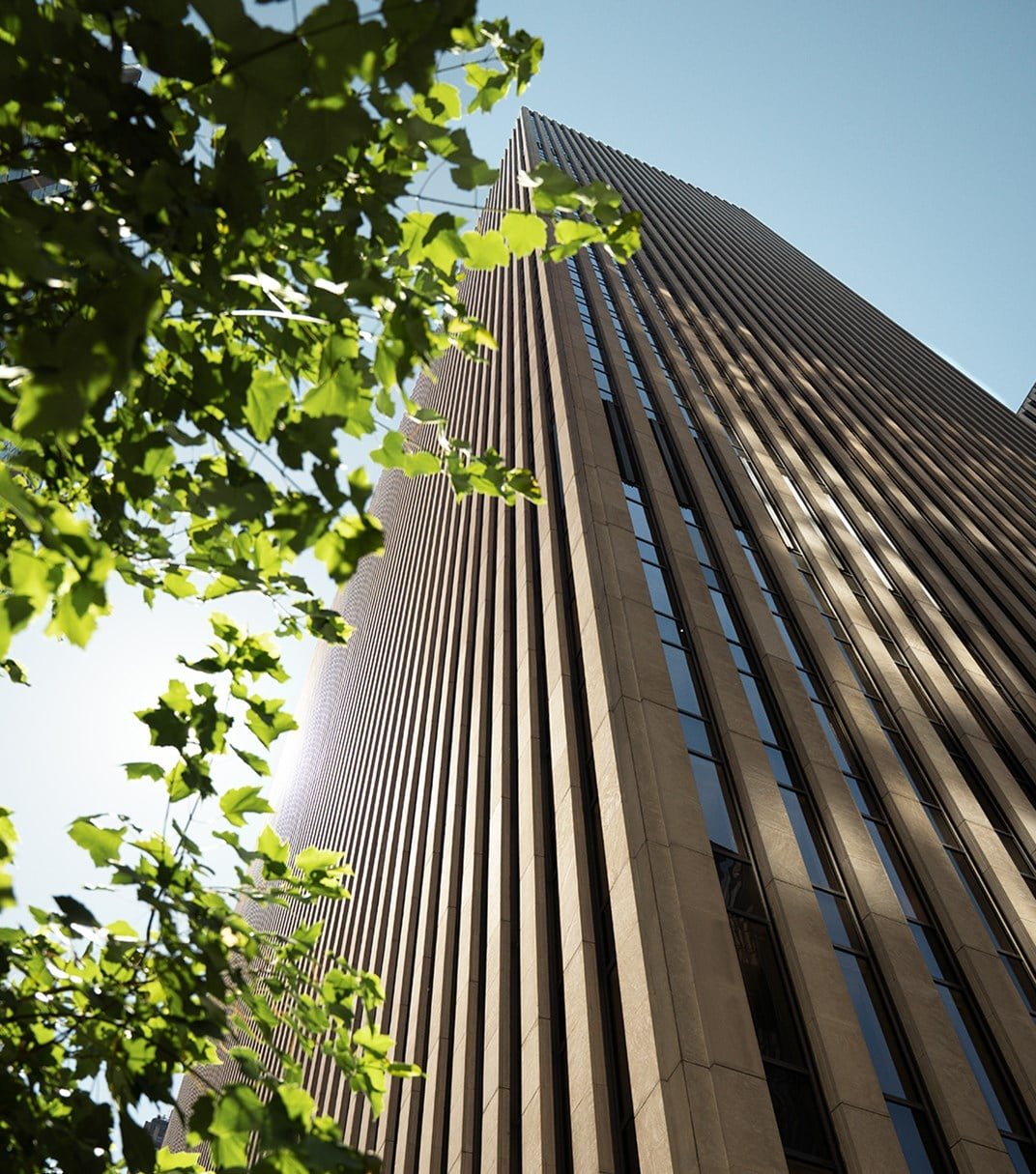 Edifício corporativo visto entre árvores