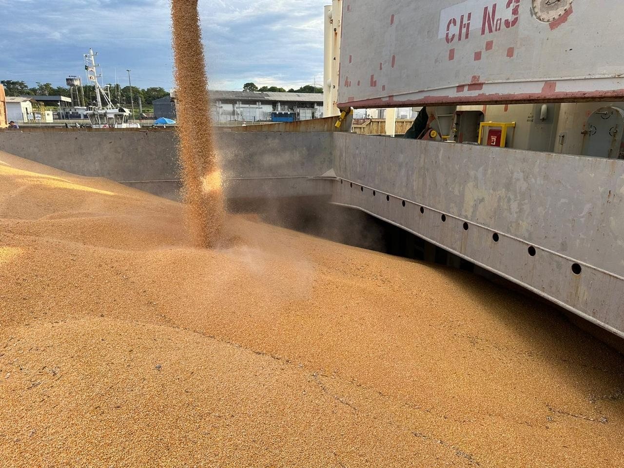 Grãos caindo em um porão de embarcação que já contém carga.